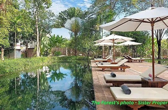 The Elephant 4* Сиемрип