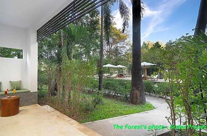 The Elephant 4*